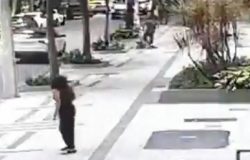 Aposentada da UFRJ de 81 anos é atingida por tiro durante assalto no Leblon no Dia do Professor