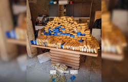 Apreensão histórica de maconha em Campinas revela esquema sofisticado