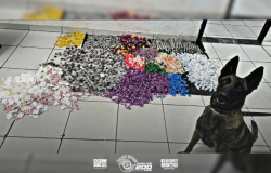 Apreensão recorde de drogas e recuperação de moto mobilizam polícia em Franco da Rocha
