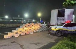 Apreensão recorde de maconha em caminhão causa prejuízo milionário ao crime