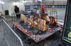 Festival de Churrasco