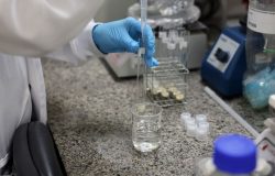 Brasil define metas para ciência e tecnologia em plano estratégico até 2034