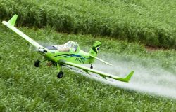 Brasil é o segundo maior importador mundial de pesticidas proibidos na união europeia