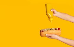 cachorroquente1