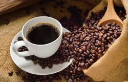 Festival do Café