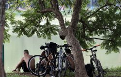 Calor retorna a São Paulo com previsão de temperaturas próximas aos 30ºC