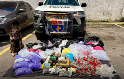 Cão da polícia militar localiza grande quantidade de drogas durante operação em são paulo