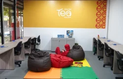 Centro TEA Paulista ultrapassa 16 mil atendimentos e capacita 5 mil servidores em São Paulo