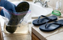 Como limpar chinelo encardido: técnica simples remove limo e mofo sem esforço