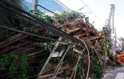 Crise climática impõe novos desafios à resiliência da rede elétrica no Brasil