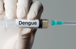 vacina contra a dengue