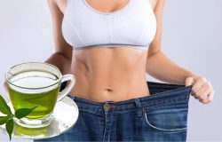 Desvende o chá verde: como a bebida natural pode impulsionar o metabolismo e auxiliar no emagrecimento