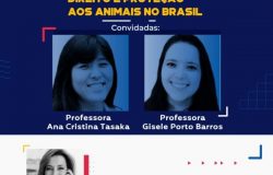 direito e proteção unip