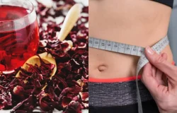 Efeitos reais do chá de hibisco na cintura e hábitos saudáveis para resultados