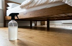 Entenda por que o uso de vinagre embaixo da cama se tornou um hábito na limpeza doméstica