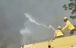 Equipes de combate controlam incêndio em área de mata na Universidade de Brasília