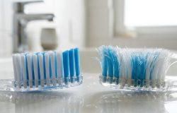 Escova de dentes: por que esperar as cerdas abrirem é um erro para sua saúde bucal