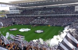 estadio