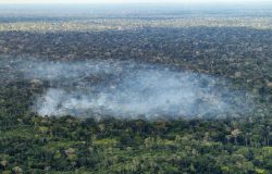 Estudo comprova que ação humana impulsiona emissões de carbono na Amazônia