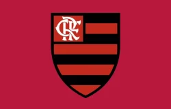 Flamengo tenta anular jogo na Libertadores e movimenta bastidores do futebol