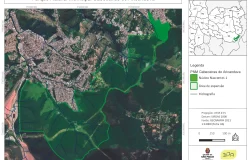 Parque Cabeceiras do Aricanduva