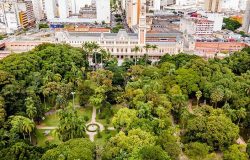 foto viva o verde