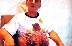 fotonelsinho