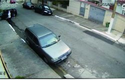 fotovitima