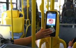 gratuidade onibus