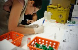 Hepatites virais: pesquisa detalha cenário da doença no Brasil em mais de uma década
