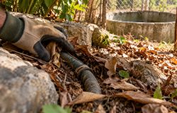 Homem limpa terreno no interior e acha restos de horta antiga