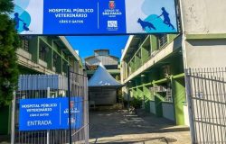 hospital veterinário
