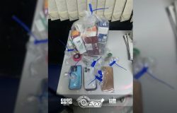 ção de maconha e 22 caixas contendo produtos farmacêuticos provenientes dos furt