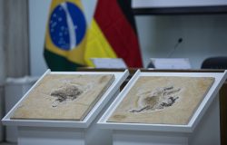 © Joédson Alves/Agência Brasil