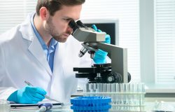 biópsia ou cirurgia. Essa amostra é preparada em laboratório e tratada com os an