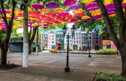 Alf Ribeiro / Shutterstock.com