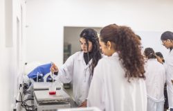 tempo determinado. Uma vez contratado, o docente poderá permanecer vinculado à S