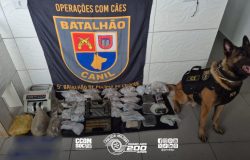 ções de cocaína, totalizando cerca de 5,4 quilos de drogas. Além dos entorpecent