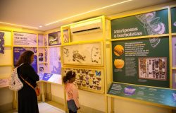 ciona uma experiência educativa, interativa e divertida. Durante a visita, o púb