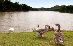 tes Governo Infraestrutura Justiça e Cidadania Meio Ambiente Outros Pessoa com D