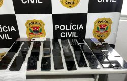 análise. Segundo o delegado Rubens Barazal, responsável por coordenar os trabalh