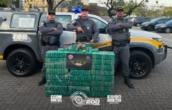tava mais de 250 quilos de pasta base de cocaína e um fuzil pela Rodovia Preside