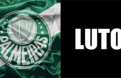 jogador do Palmeiras, Leivinha (Foto: Reprodução/ Internet)