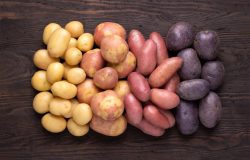 conter boas quantidades de polifenóis, flavonoides e antocianinas, que são compo