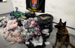 organizações criminosas ligadas ao tráfico de drogas. Ao todo, a ação resultou n