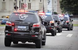 ções de drogas prontas para distribuição foram apreendidas. A operação foi reali