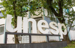 unanimidade a política de reserva de vagas para pessoas pretas, pardas e indígen