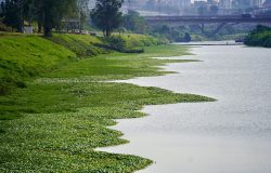 Concentração de poluentes monitorada no Pinheiros caiu 55% na calha da Barragem de Pedreira (foto), 29% na Ponte do Socorro e 26% na Usina São Paulo nos cinco primeiros meses do pe