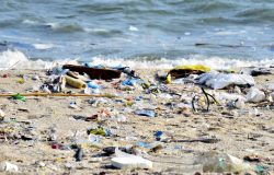 resíduos sólidos nos ambientes costeiros e marinhos em um horizonte de 10 anos