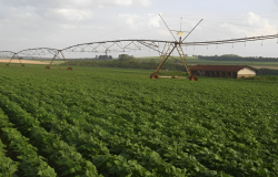 FAPESP prevê disponibilidade hídrica de mananciais para apoiar decisões em cenários de chuvas irregulares (Imagem: divulgação/Spectrum)